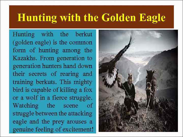 Hunting with the Golden Eagle Hunting with the berkut (golden eagle) is the common