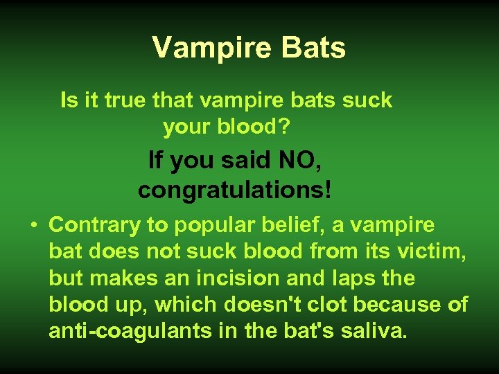 Vampire Bats Is it true that vampire bats suck your blood? If you said