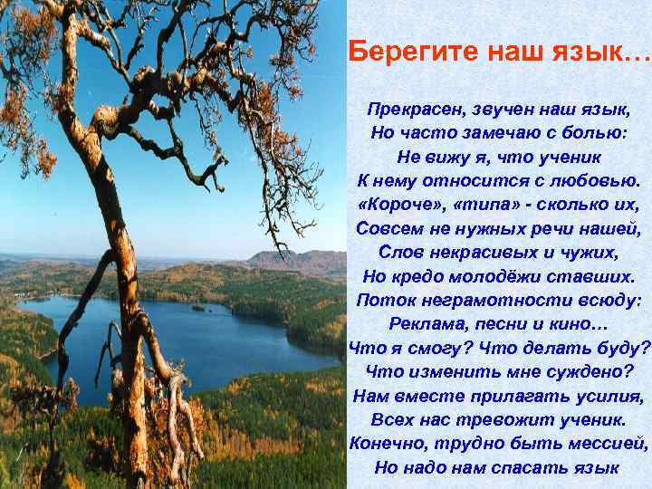 Берегите наш язык… Прекрасен, звучен наш язык, Но часто замечаю с болью: Не вижу