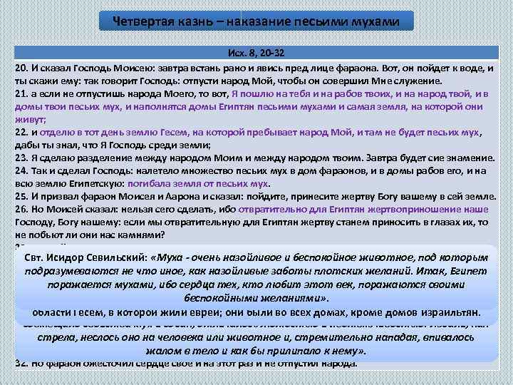 Четвертая казнь – наказание песьими мухами Исх. 8, 20 -32 20. И сказал Господь