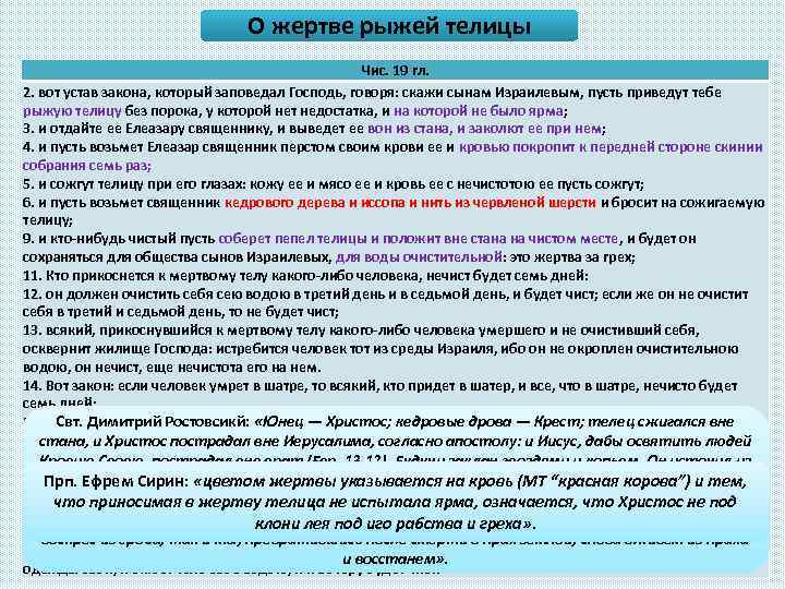 О жертве рыжей телицы Чис. 19 гл. 2. вот устав закона, который заповедал Господь,