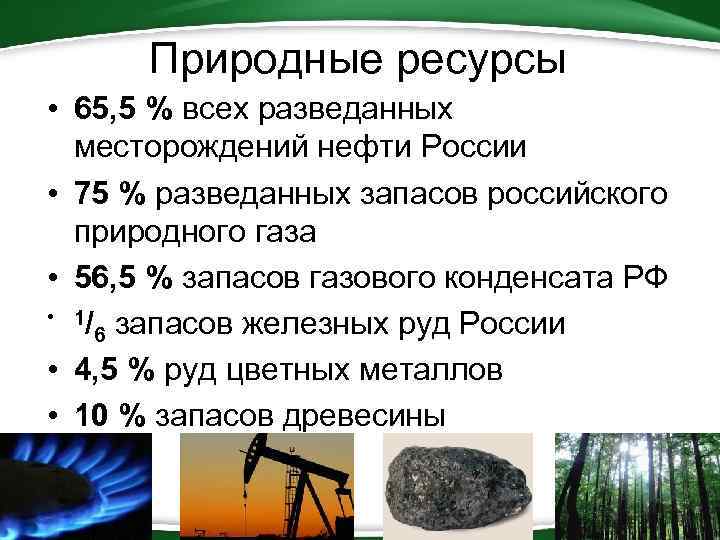 Природные ресурсы • 65, 5 % всех разведанных месторождений нефти России • 75 %