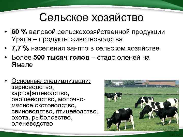Сельское хозяйство • 60 % валовой сельскохозяйственной продукции Урала – продукты животноводства • 7,