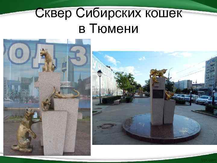 Сквер Сибирских кошек в Тюмени 
