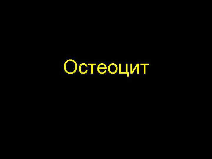 Остеоцит 