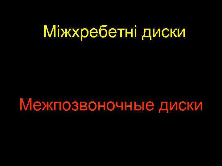 Міжхребетні диски Межпозвоночные диски 