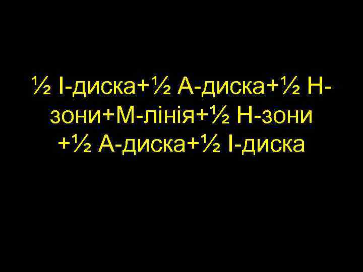 ½ І-диска+½ А-диска+½ Hзони+М-лінія+½ H-зони +½ А-диска+½ І-диска 