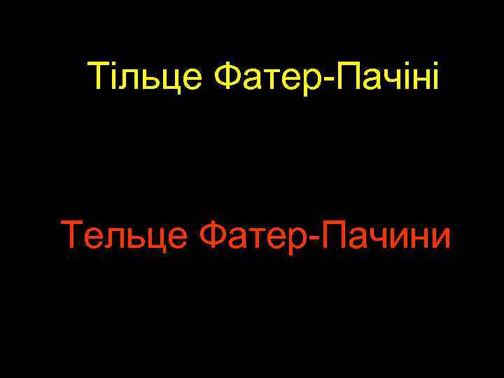 Тільце Фатер-Пачіні Тельце Фатер-Пачини 