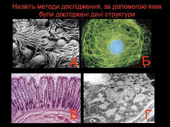 Назвіть методи дослідження, за допомогою яких були досліджені дані структури А Б В Г