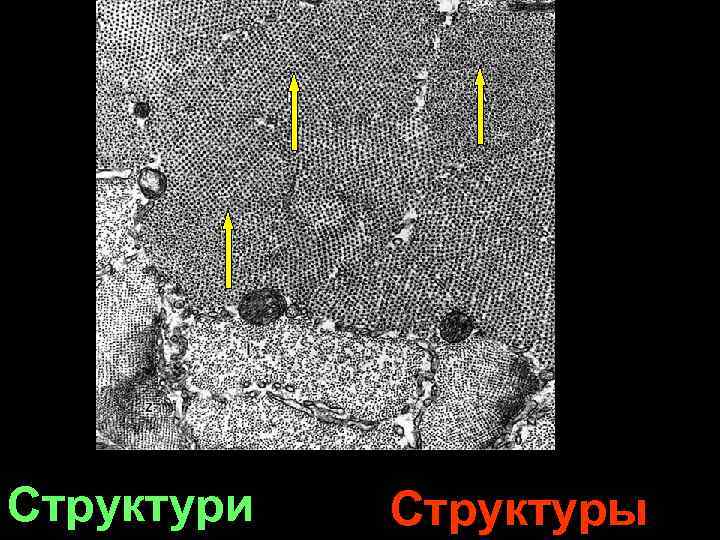 Структури Структуры 