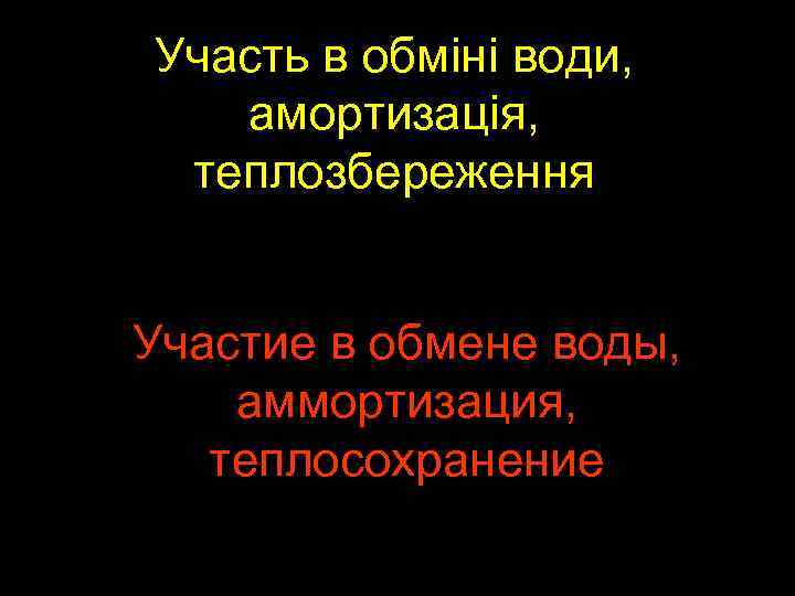 Участь в обміні води, амортизація, теплозбереження Участие в обмене воды, аммортизация, теплосохранение 