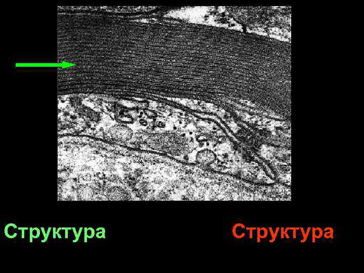 Структура 