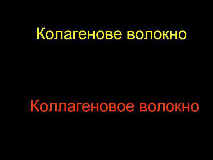 Колагенове волокно Коллагеновое волокно 