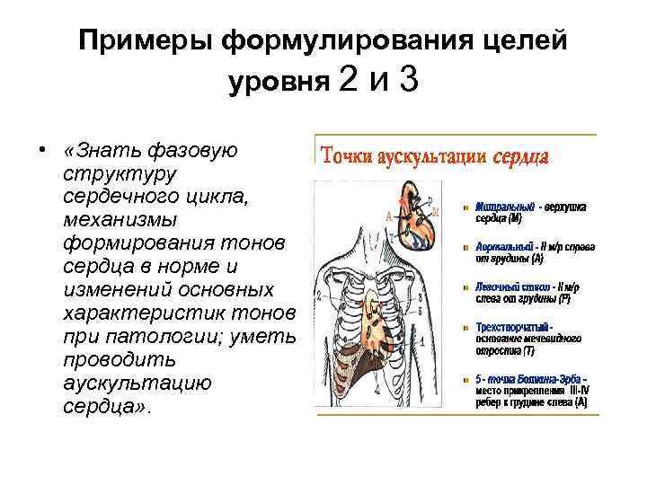 Примеры формулирования целей уровня 2 и 3 • «Знать фазовую структуру сердечного цикла, механизмы