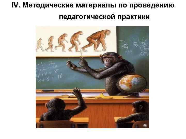 IV. Методические материалы по проведению педагогической практики 