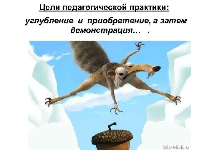 Цели педагогической практики: углубление и приобретение, а затем демонстрация…. 