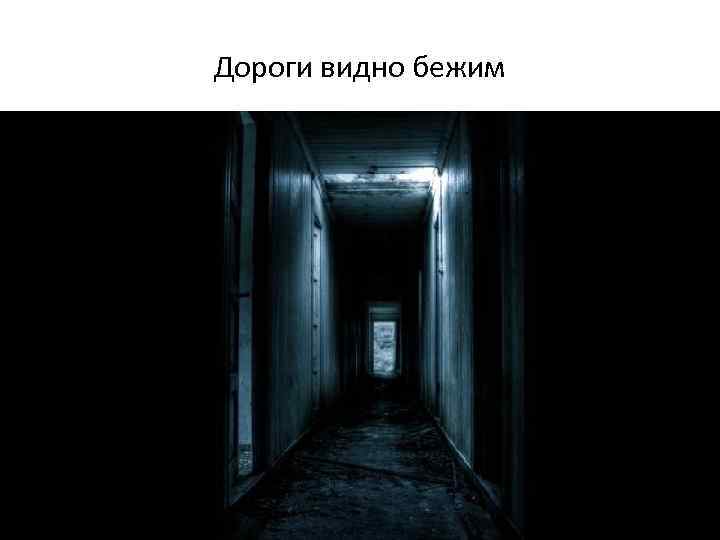 Дороги видно бежим 