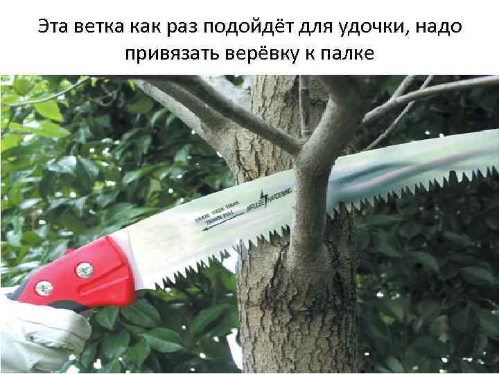 Эта ветка как раз подойдёт для удочки, надо привязать верёвку к палке 