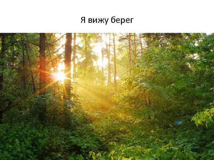 Я вижу берег 