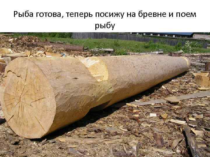 Рыба готова, теперь посижу на бревне и поем рыбу 