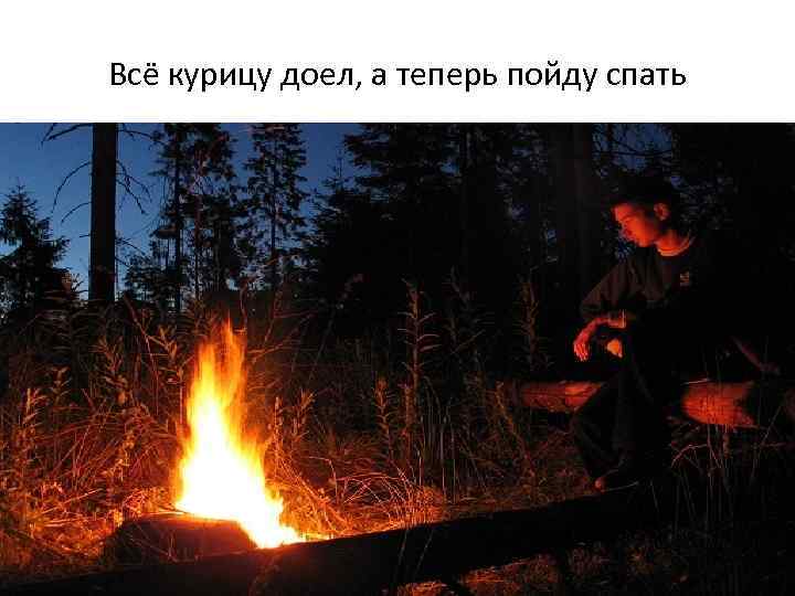 Всё курицу доел, а теперь пойду спать 