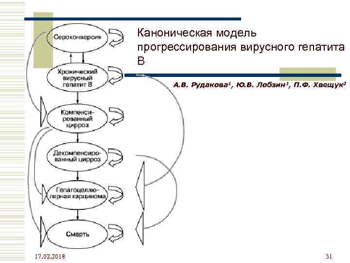 Каноническая модель прогрессирования вирусного гепатита В А. В. Рудакова 1, Ю. В. Лобзин 1,