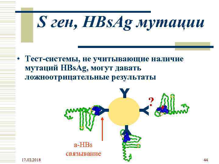 S ген, HBs. Ag мутации • Тест-системы, не учитывающие наличие мутаций HBs. Ag, могут