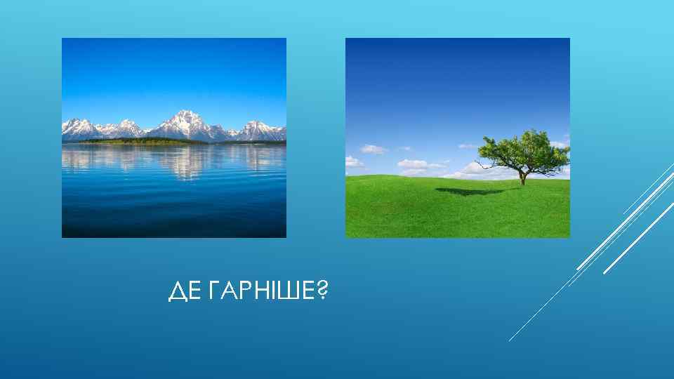 ДЕ ГАРНІШЕ? 