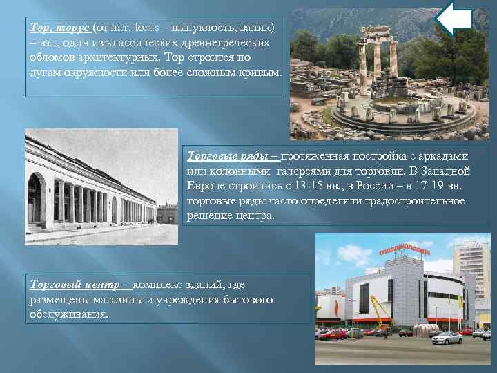 Тор, торус (от лат. torus – выпуклость, валик) – вал, один из классических древнегреческих