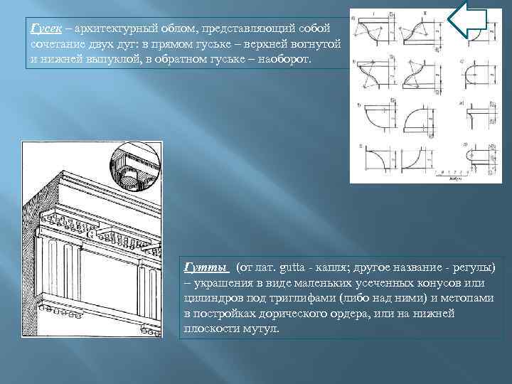 Архитектурные обломы. Гусек архитектурный облом. Гусек в архитектуре построение. Скоция в архитектуре. Обломы в архитектуре.