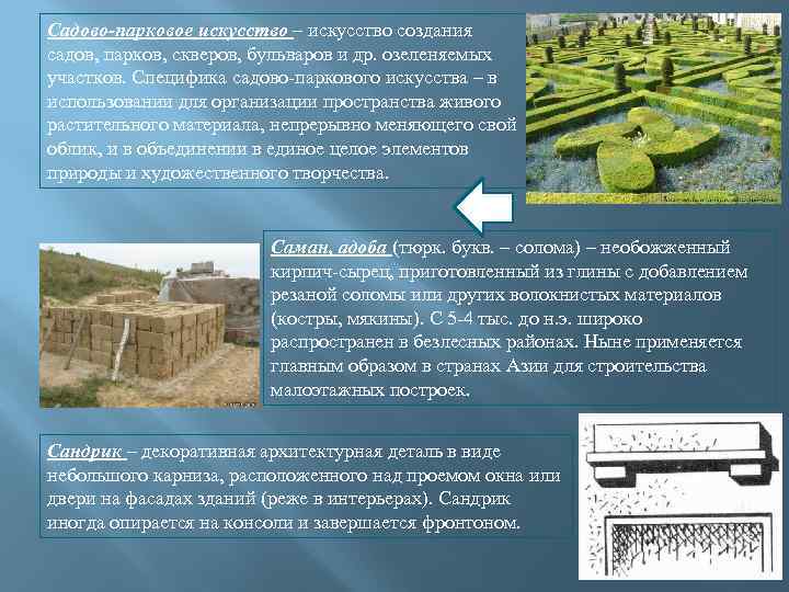 Садово-парковое искусство – искусство создания садов, парков, скверов, бульваров и др. озеленяемых участков. Специфика