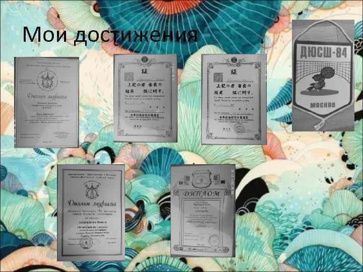 Мои достижения 