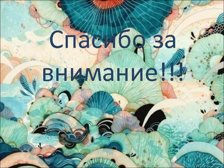 Спасибо за внимание!!! 