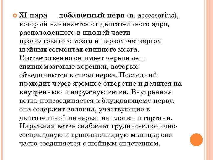  XI пара — добавочный нерв (n. accessorius), который начинается от двигательного ядра, расположенного