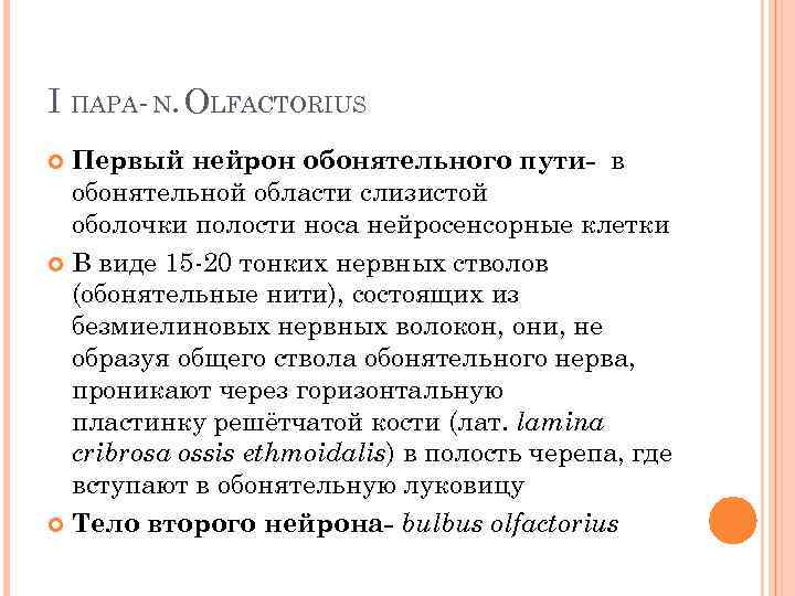 I ПАРА- N. OLFACTORIUS Первый нейрон обонятельного пути- в обонятельной области слизистой оболочки полости