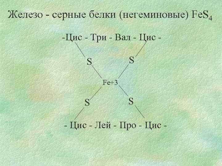 Железо - серные белки (негеминовые) Fe. S 4 -Цис - Три - Вал -