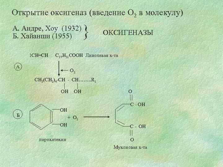 Открытие оксигеназ (введение О 2 в молекулу) А. Андре, Хоу (1932) Б. Хайанши (1955)