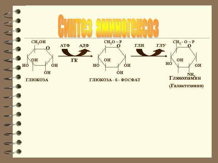 CH 2 OH АТФ О ОН СН 2 O ~ P АДФ O ОН