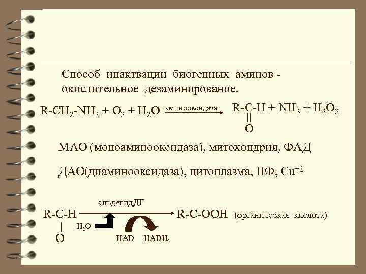 Способ инактвации биогенных аминов окислительное дезаминирование. R-CH 2 -NH 2 + O 2 +