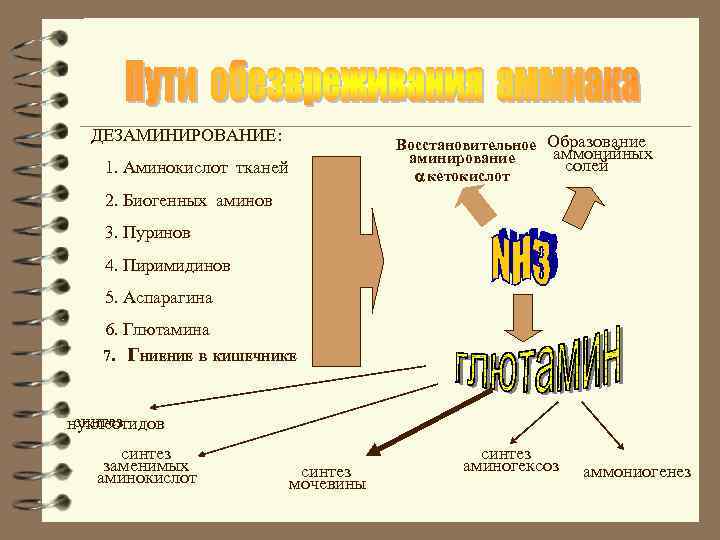 ДЕЗАМИНИРОВАНИЕ: Восстановительное Образование аммонийных аминирование солей кетокислот 1. Аминокислот тканей 2. Биогенных аминов 3.