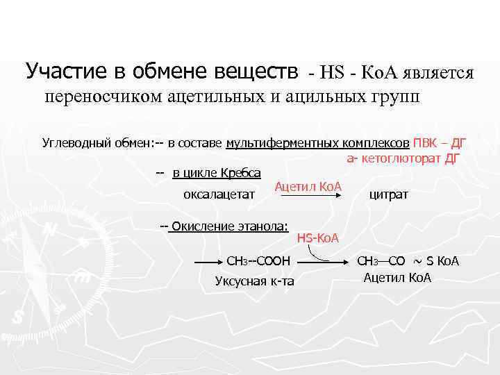 Участие в обмене веществ - НS - Ко. А является переносчиком ацетильных и ацильных