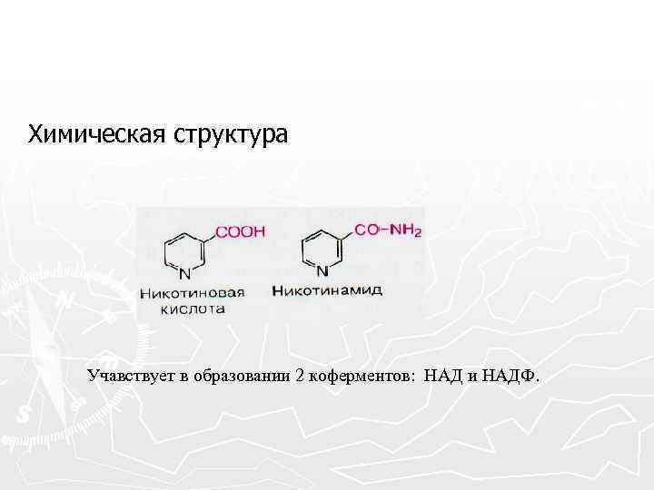 Химическая структура Учавствует в образовании 2 коферментов: НАД и НАДФ. 
