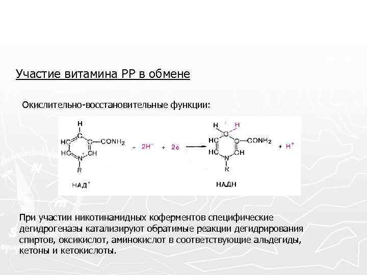 Участие витамина РР в обмене Окислительно-восстановительные функции: При участии никотинамидных коферментов специфические дегидрогеназы катализируют
