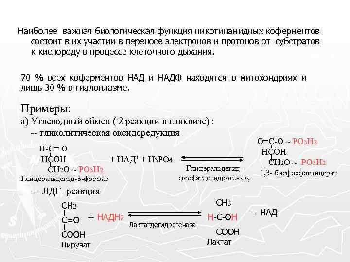 Наиболее важная биологическая функция никотинамидных коферментов состоит в их участии в переносе электронов и