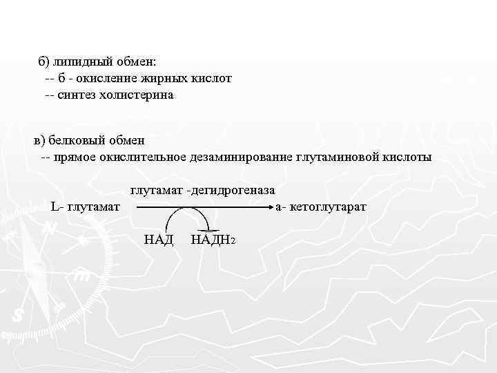 б) липидный обмен: -- б - окисление жирных кислот -- синтез холистерина в) белковый