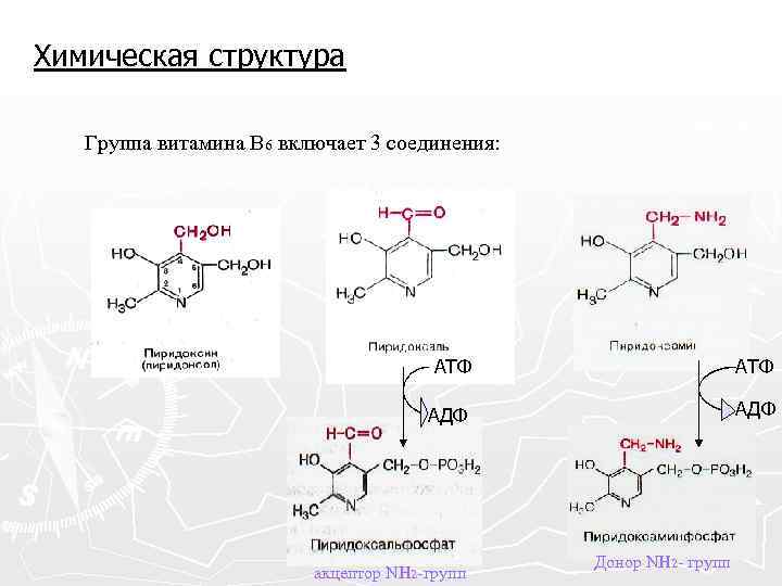 Химическая структура Группа витамина В 6 включает 3 соединения: АТФ АДФ акцептор NH 2