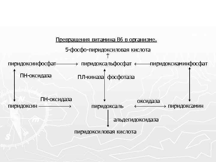 Превращения витамина В 6 в организме. 5 -фосфо-пиридоксиловая кислота пиридоксинфосфат пиридоксальфосфат пиридоксиаминфосфат ПН-оксидаза пиридоксин