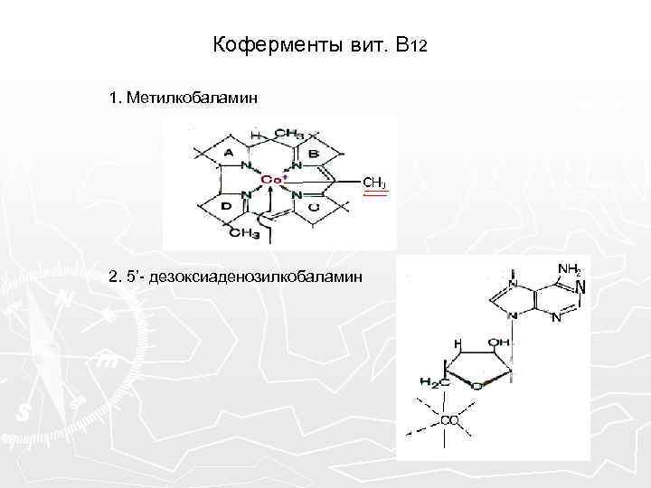 Коферменты вит. В 12 1. Метилкобаламин 2. 5’- дезоксиаденозилкобаламин 