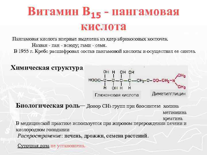 Витамин В 15 - пангамовая кислота Пангамовая кислота впервые выделена из ядер абрикосовых косточек.