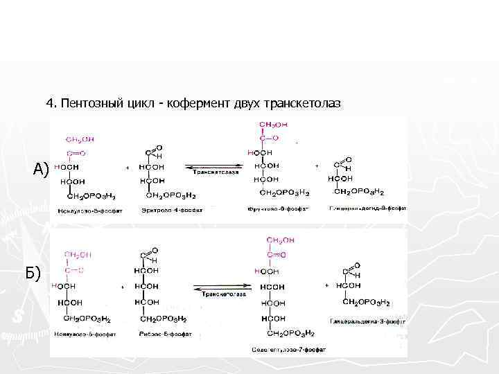 4. Пентозный цикл - кофермент двух транскетолаз А) Б) 
